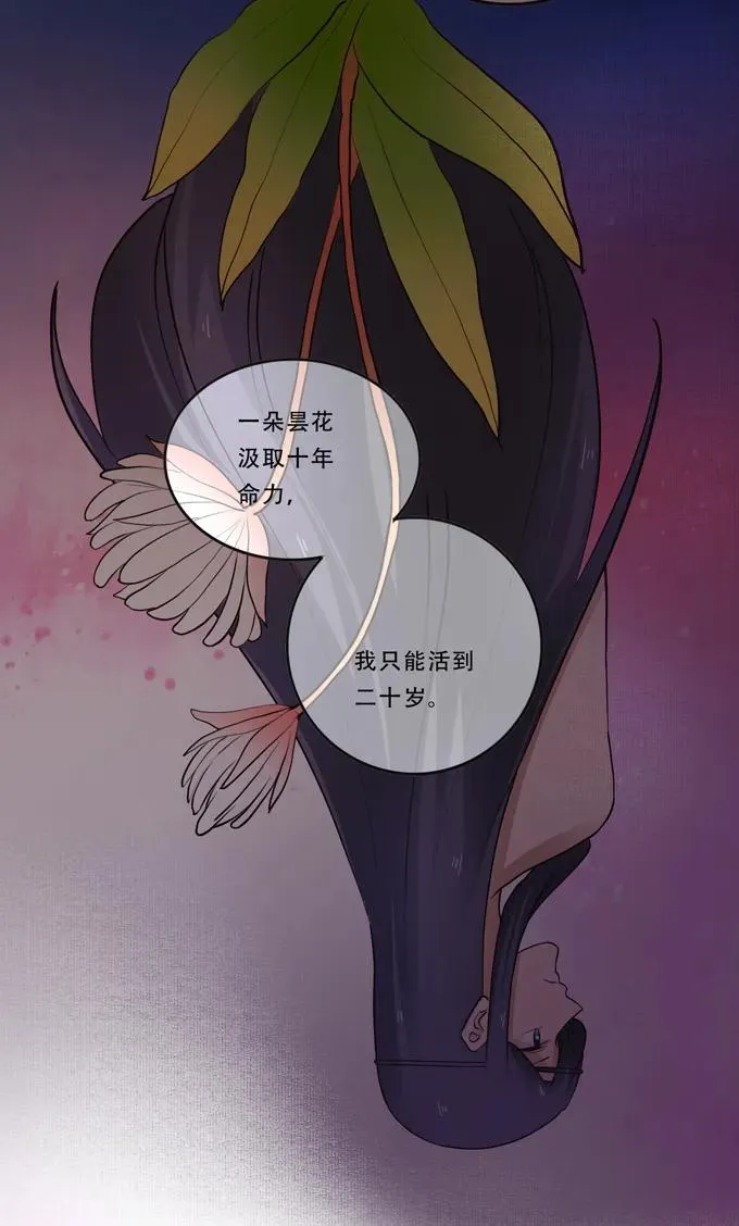 192 朝露昙华 第23页