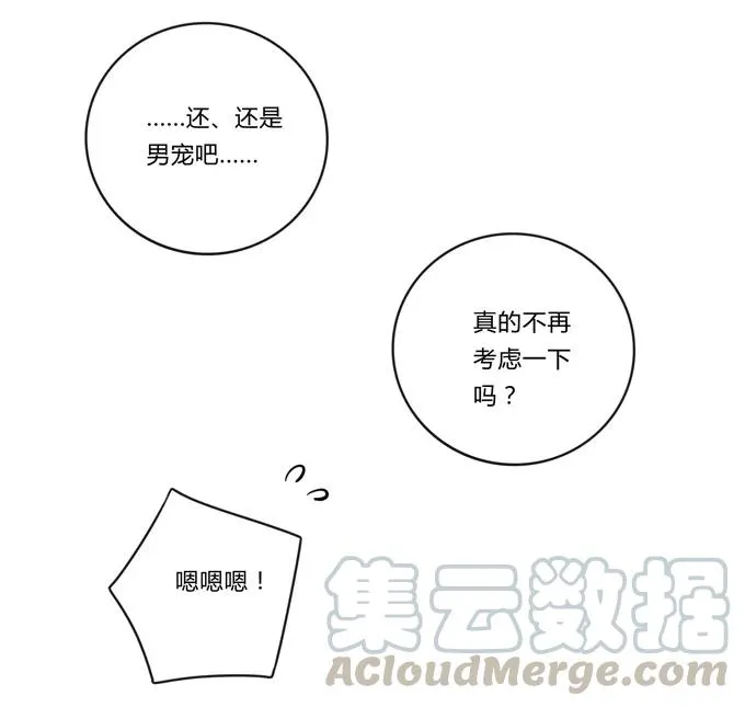 196 混乱的准备 第25页