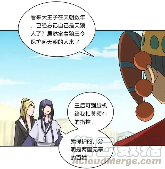 207 进攻 第13页