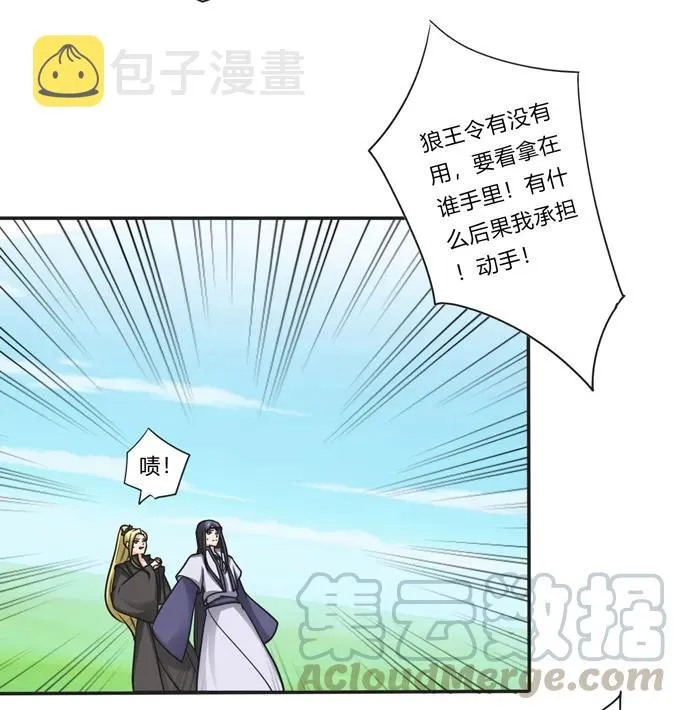207 进攻 第16页