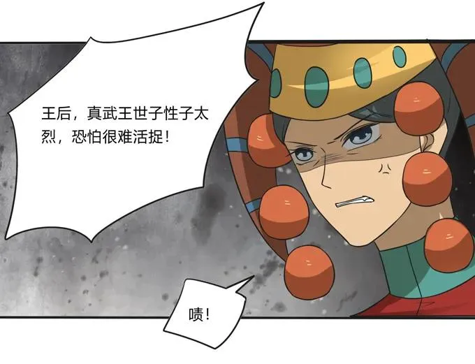 207 进攻 第27页