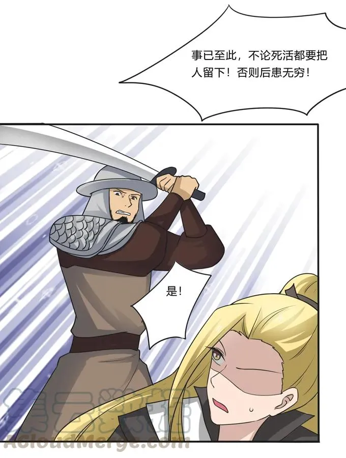 207 进攻 第28页