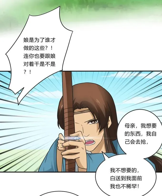 207 进攻 第33页