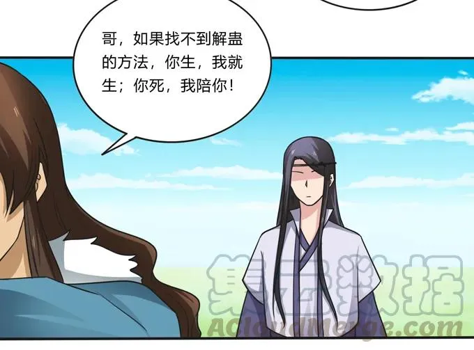 207 进攻 第34页