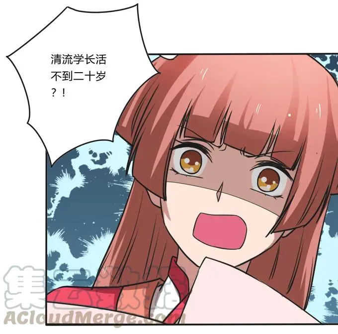 210 团宠清流 第10页