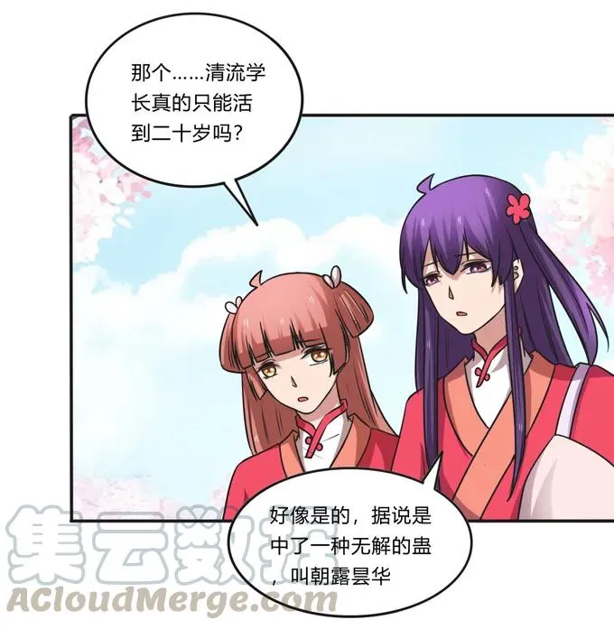 210 团宠清流 第16页