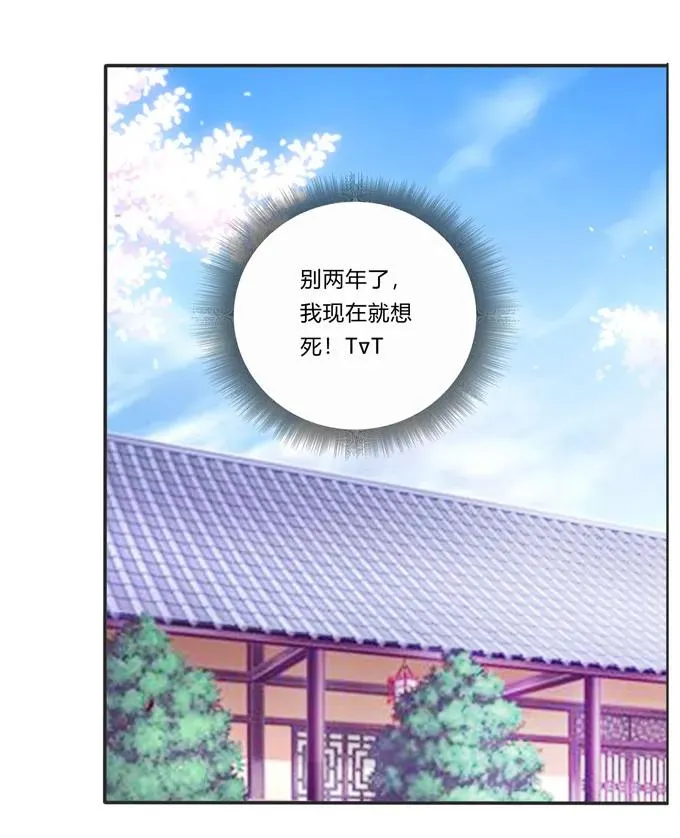 210 团宠清流 第41页