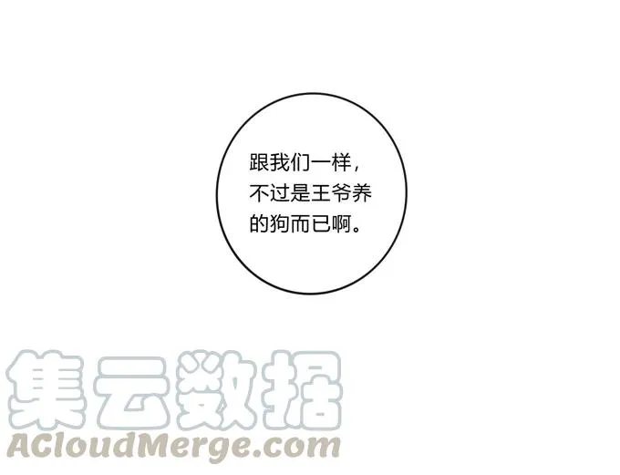 228 毒和狗 第37页