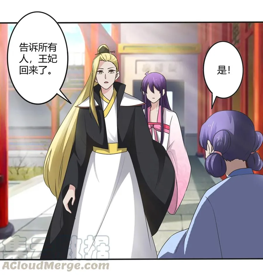 251 王妃 第31页