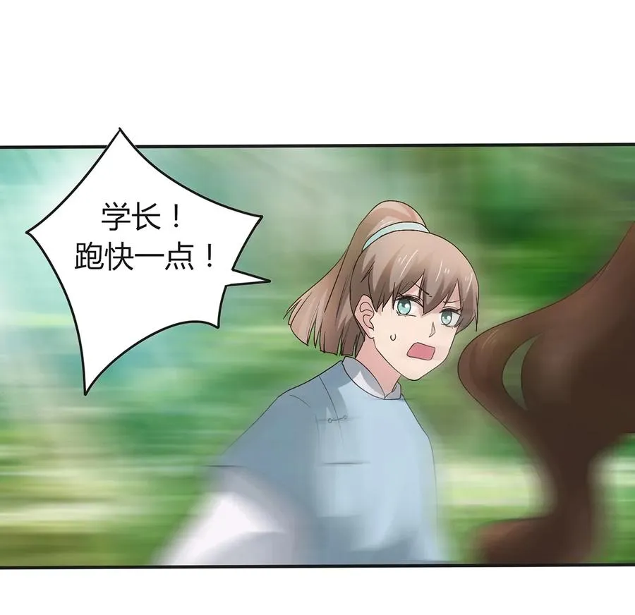 255 两个队伍 第33页