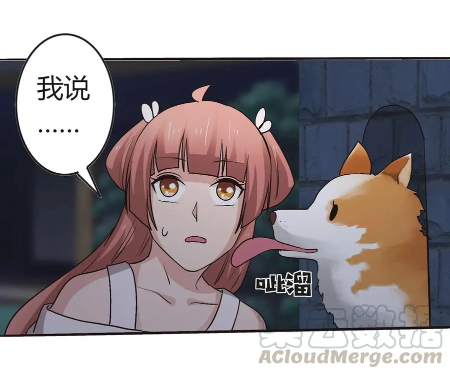 257 成功出逃 第37页