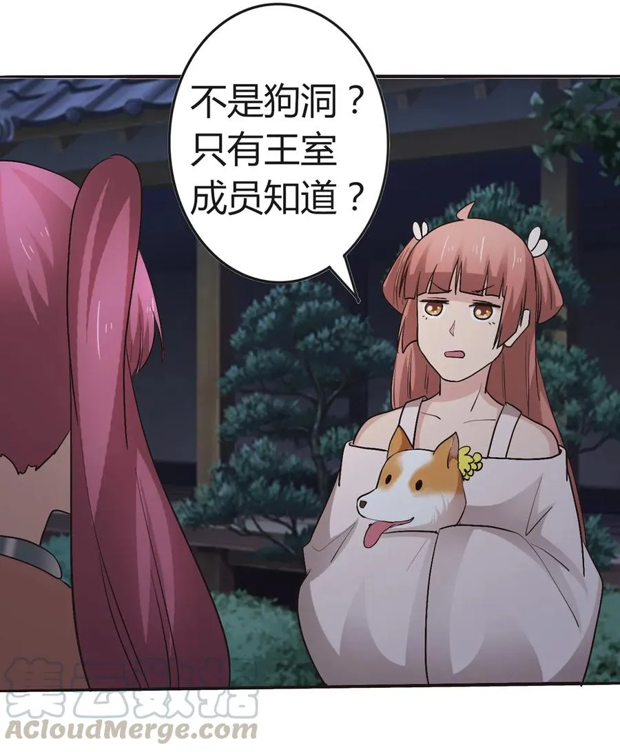 257 成功出逃 第40页