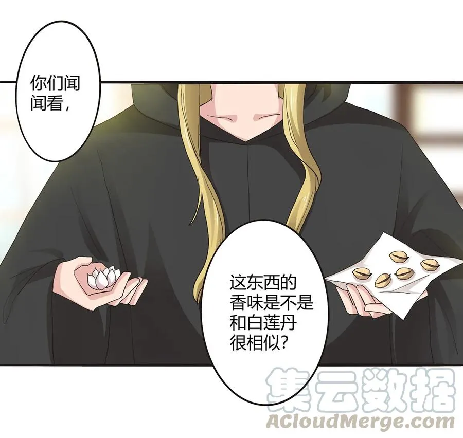 263 白莲丹 第7页