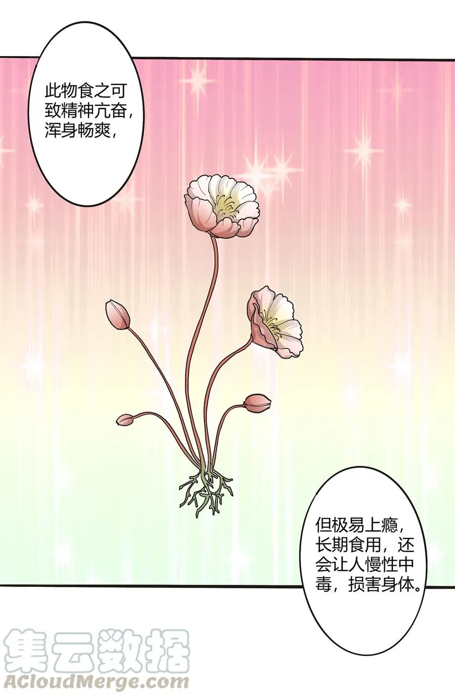 263 白莲丹 第13页