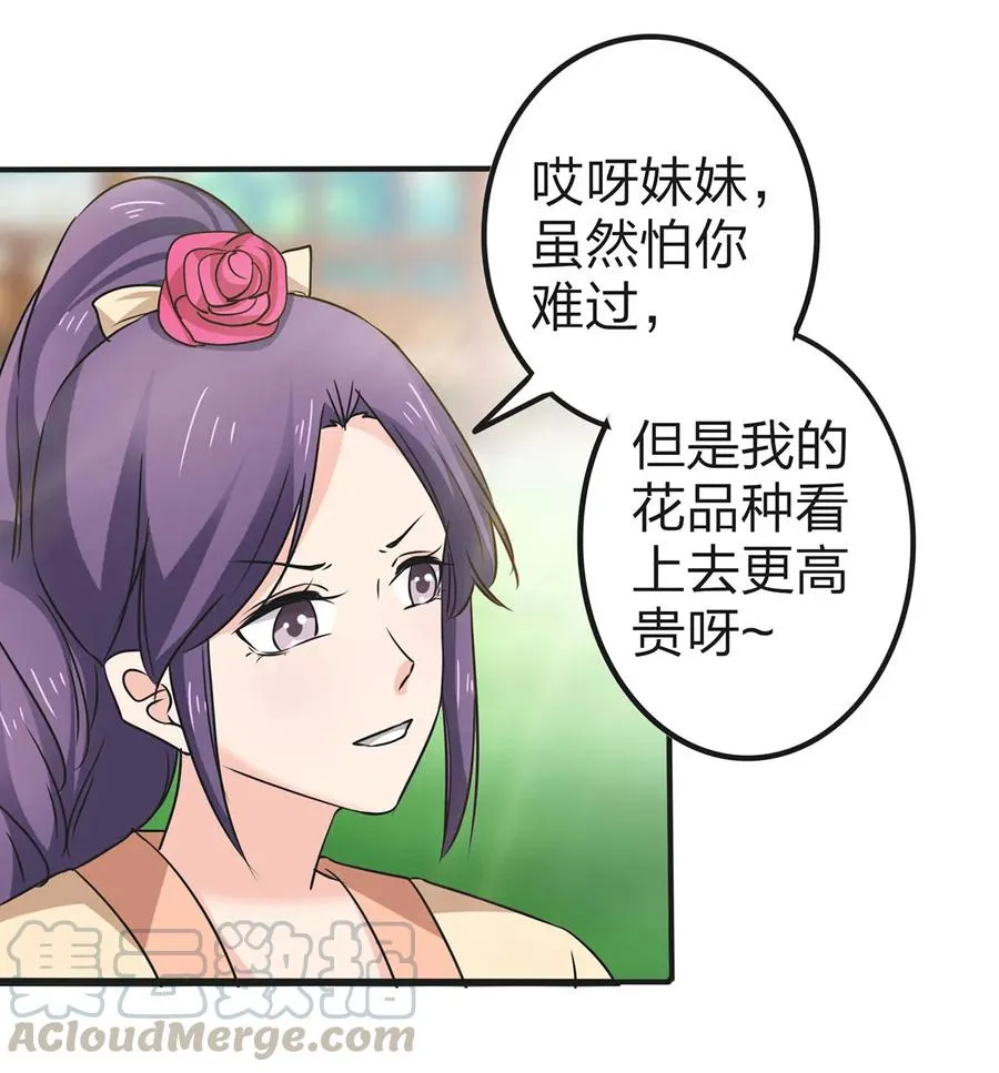 341 白蝴蝶 第34页