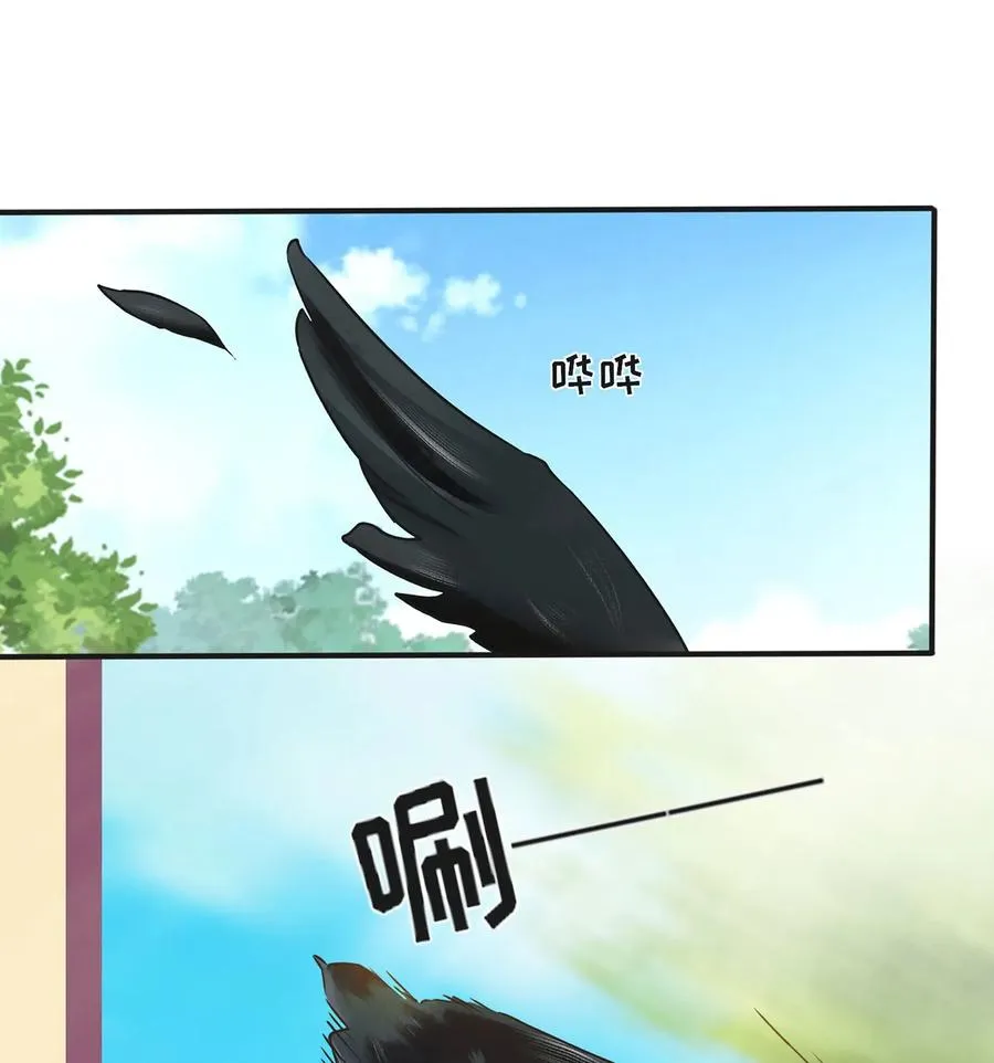 353 珍贵的回忆 第38页