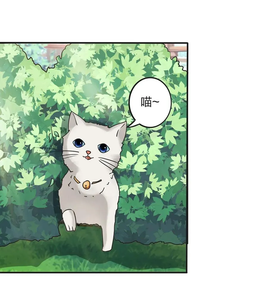 356 最后一颗宝石 第12页
