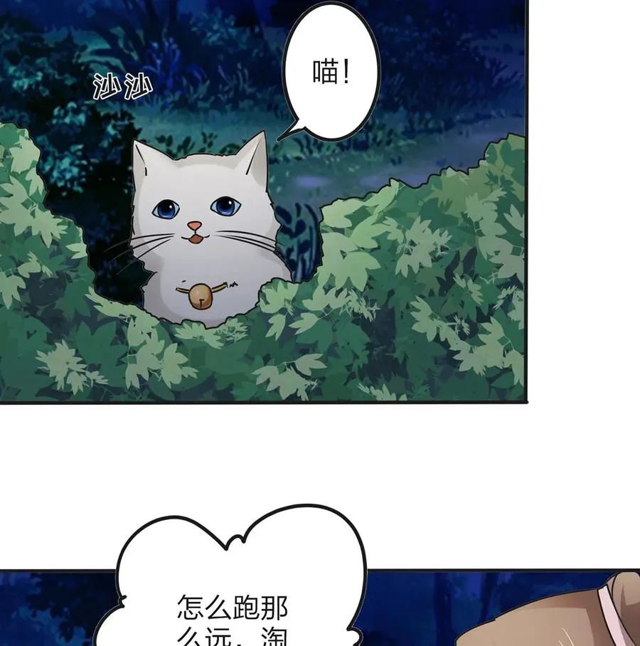 356 最后一颗宝石 第27页