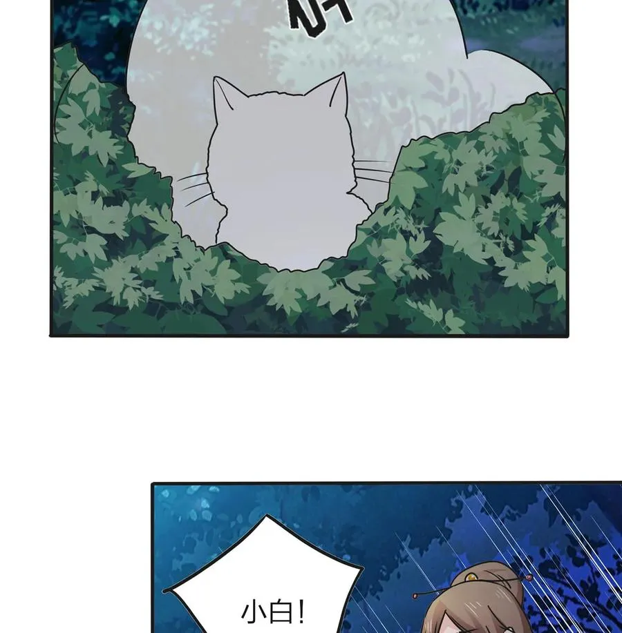 356 最后一颗宝石 第29页