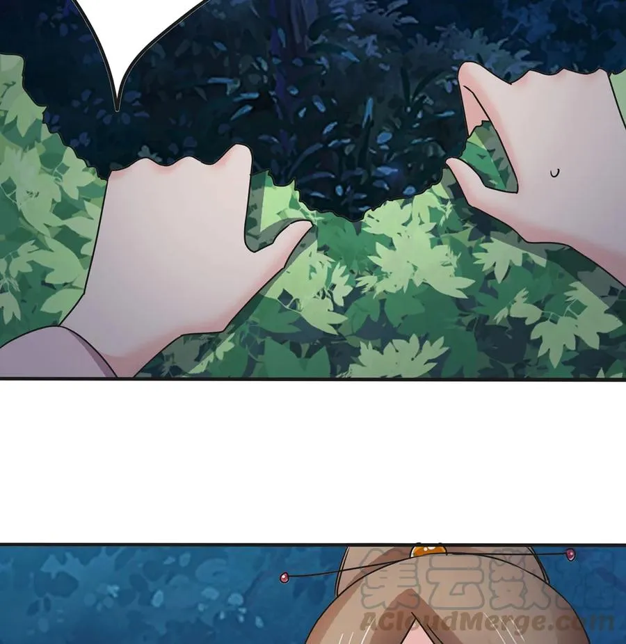 356 最后一颗宝石 第31页