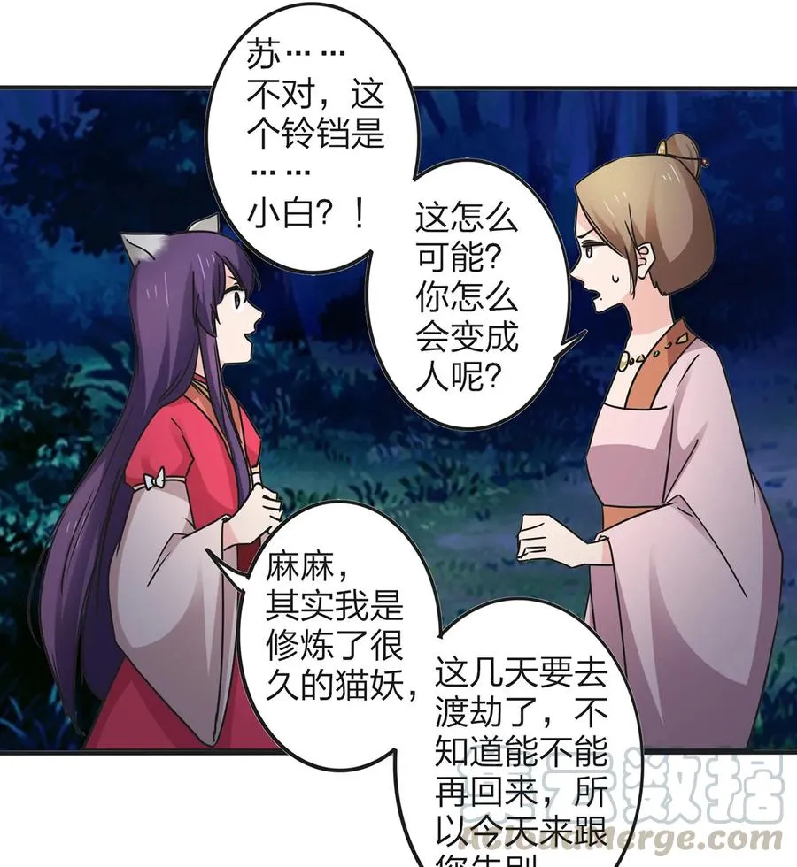 356 最后一颗宝石 第34页
