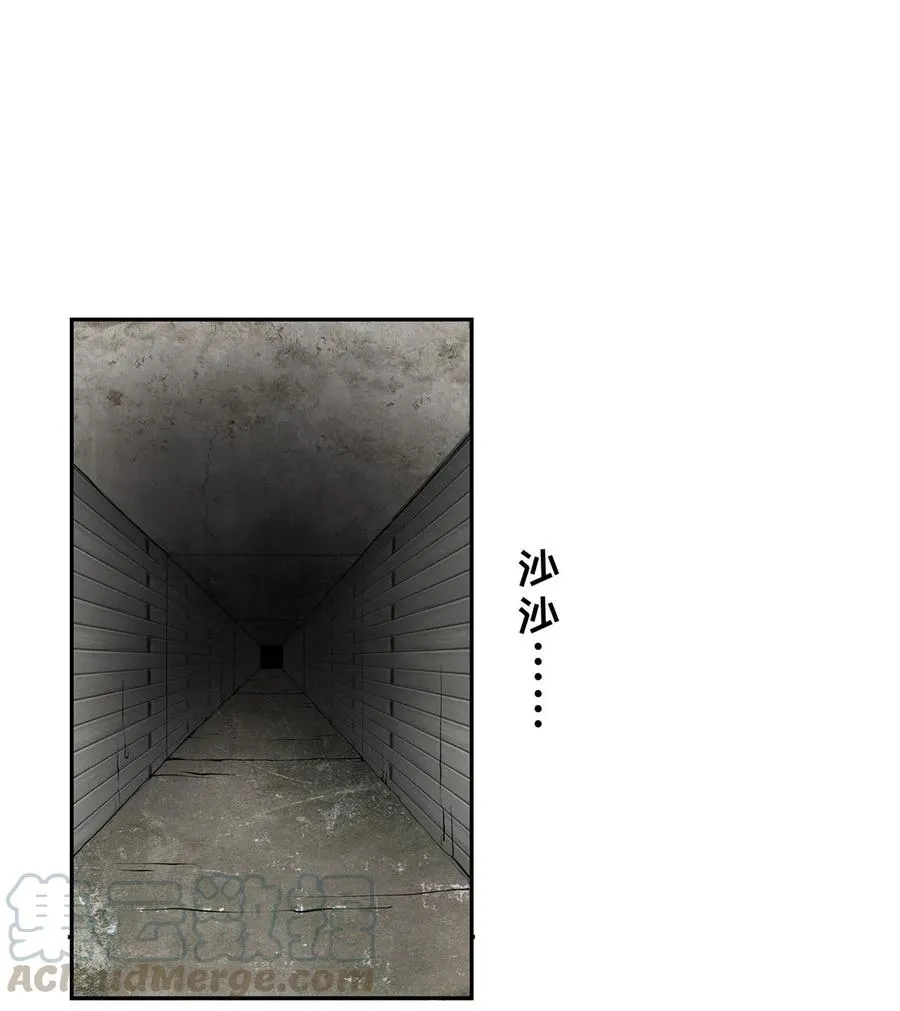 393 追踪 第16页