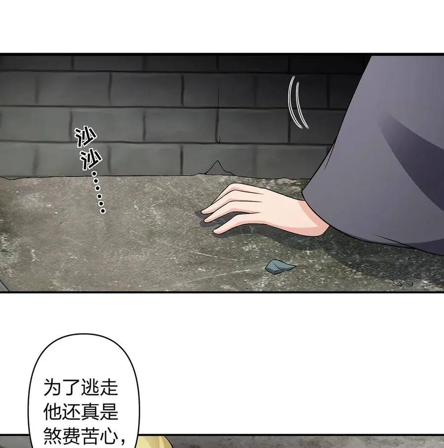 393 追踪 第17页