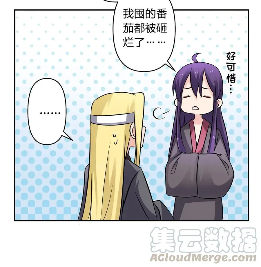 397 面 第13页