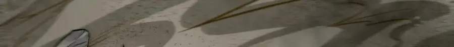 第209话 第42页