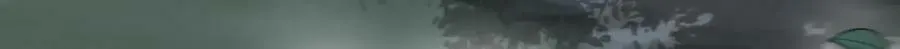 第221话 第16页