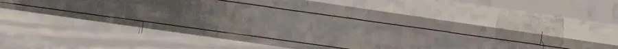 第250话 第5页