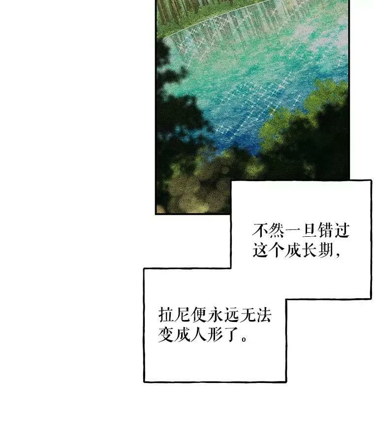 133.苏醒 第77页