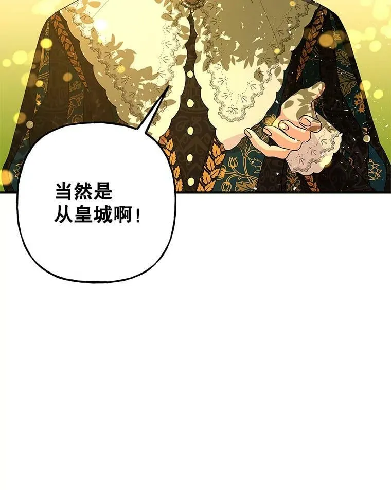 97.信物 第116页