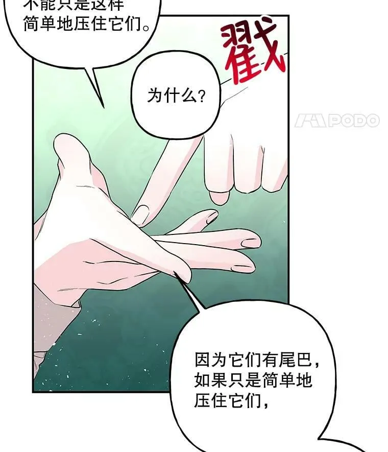 81.比赛开始 第47页