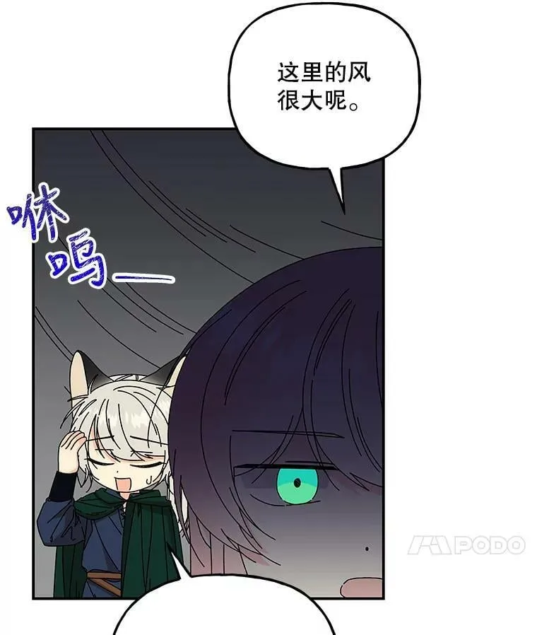 156.搭帐篷 第35页