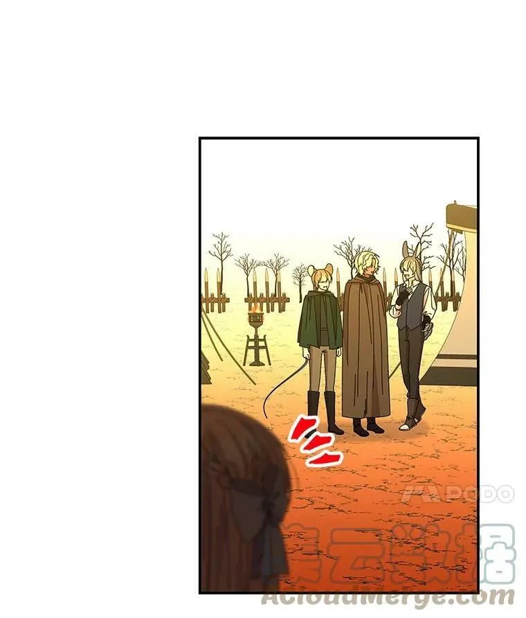 156.搭帐篷 第70页