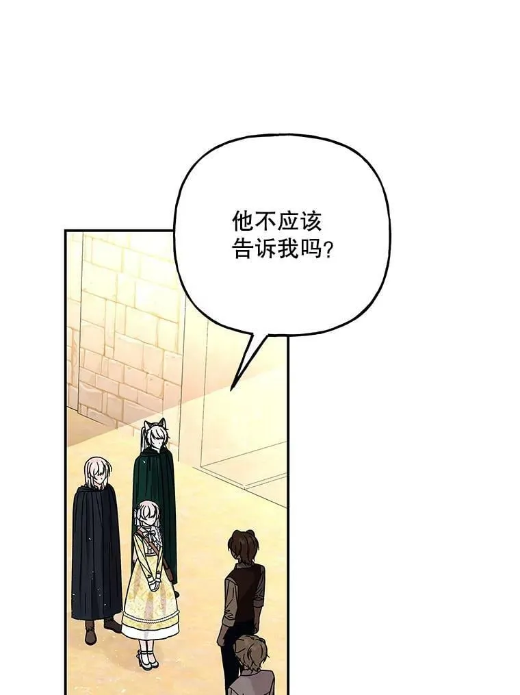 164.到达哈森姆 第20页