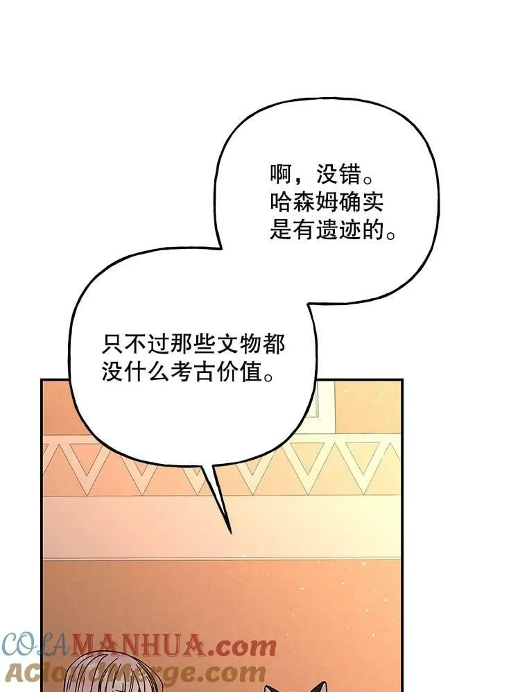 164.到达哈森姆 第61页