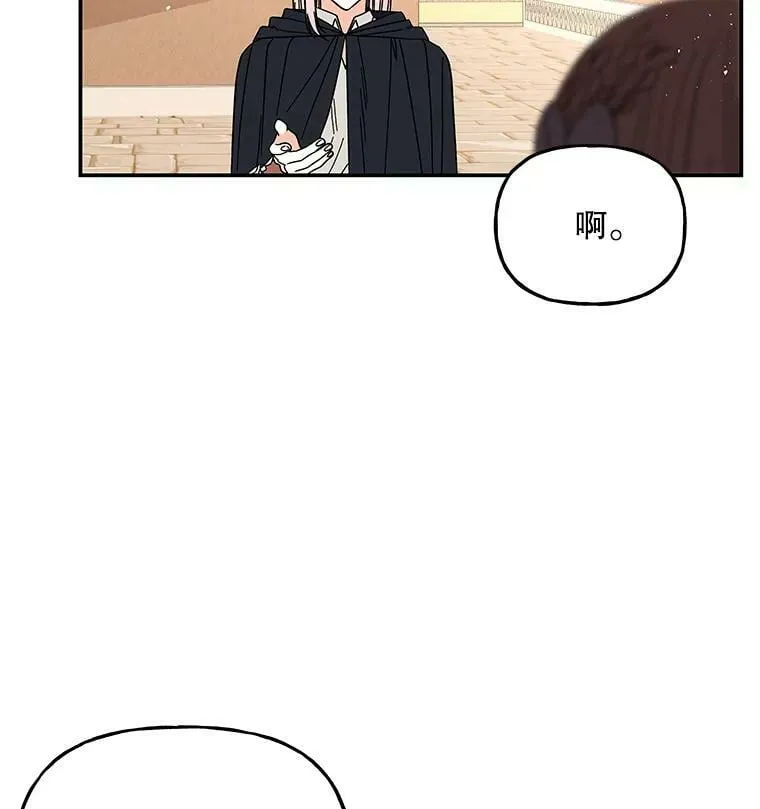 164.到达哈森姆 第75页