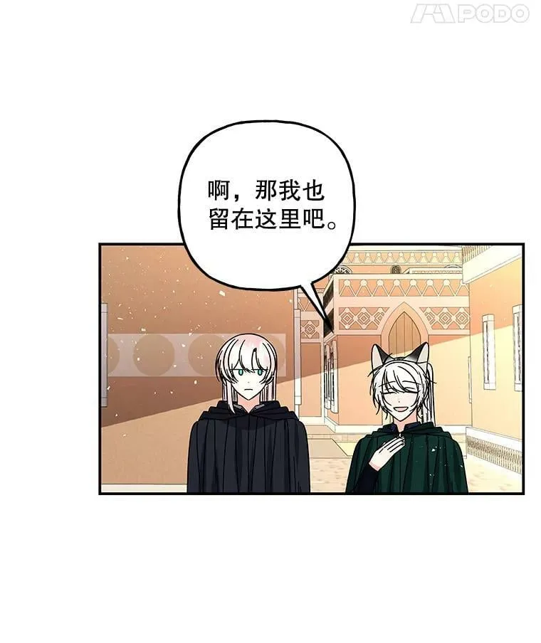 164.到达哈森姆 第82页