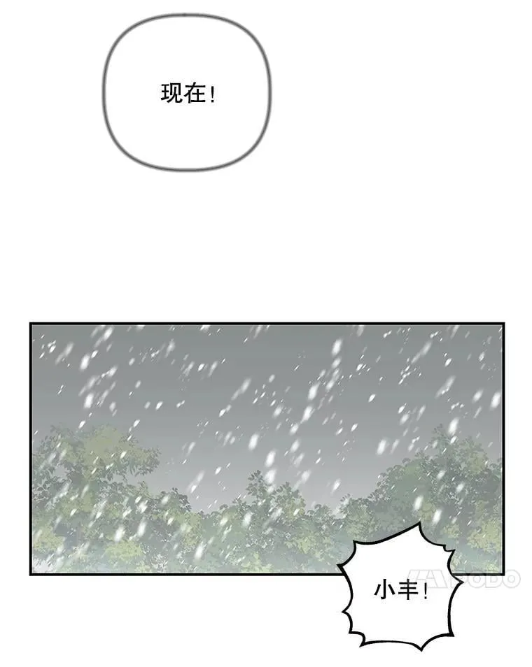 174.暴走的小丰 第42页