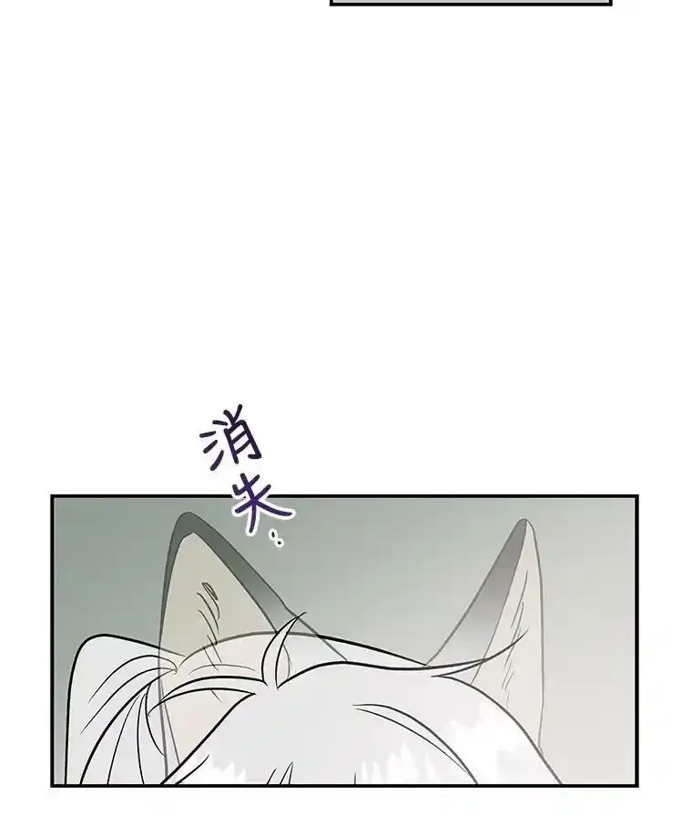 10.小姐的命令 第42页