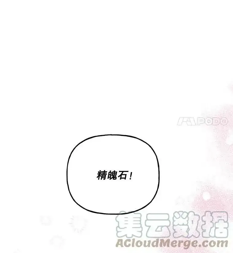 65.精魄石 第5页