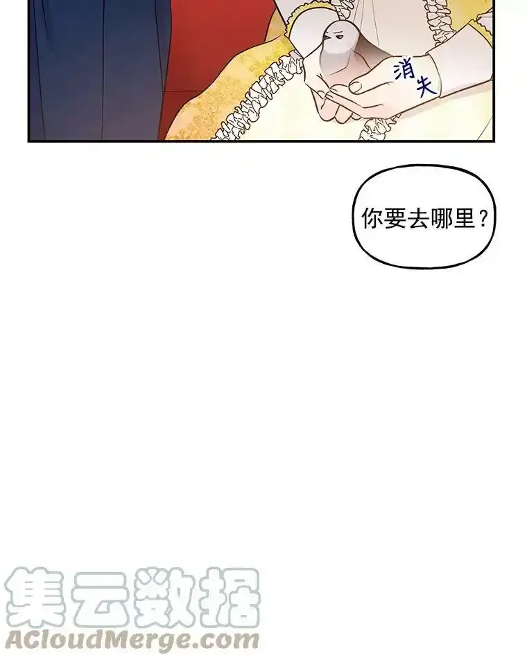 20.传令鸟 第13页