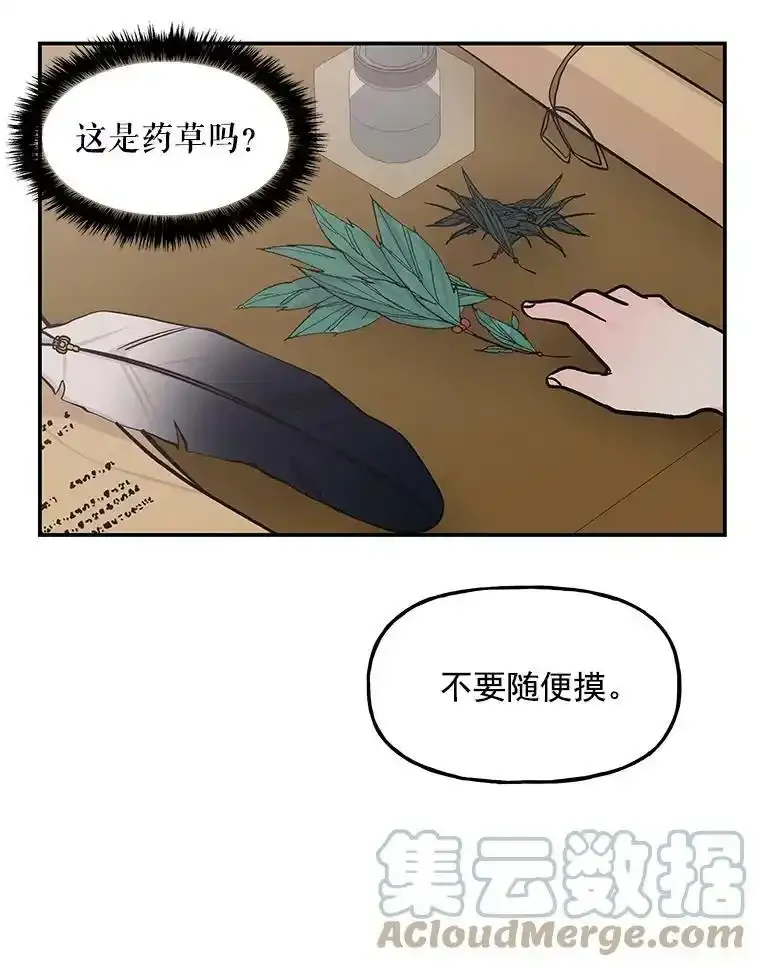 9.柏勒洛丰 第49页