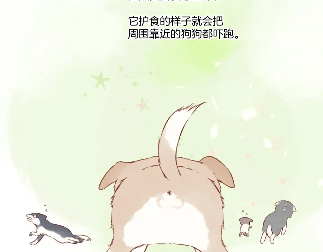 第124话 我的小狗 第11页