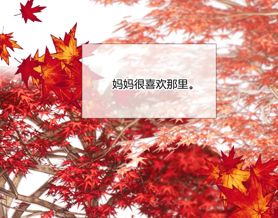 枫与樱（番外篇） 第83页