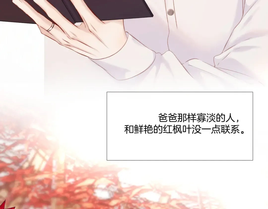 枫与樱（番外篇） 第90页