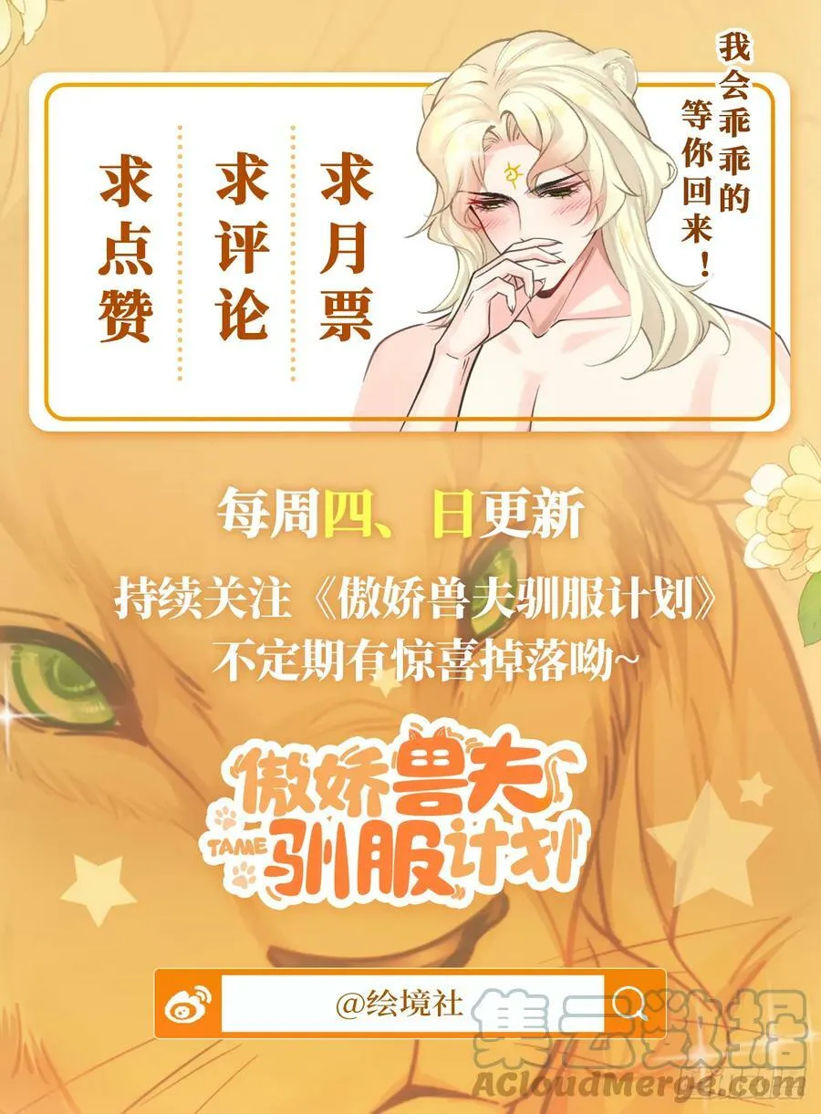 50 芭比比布？ 第37页