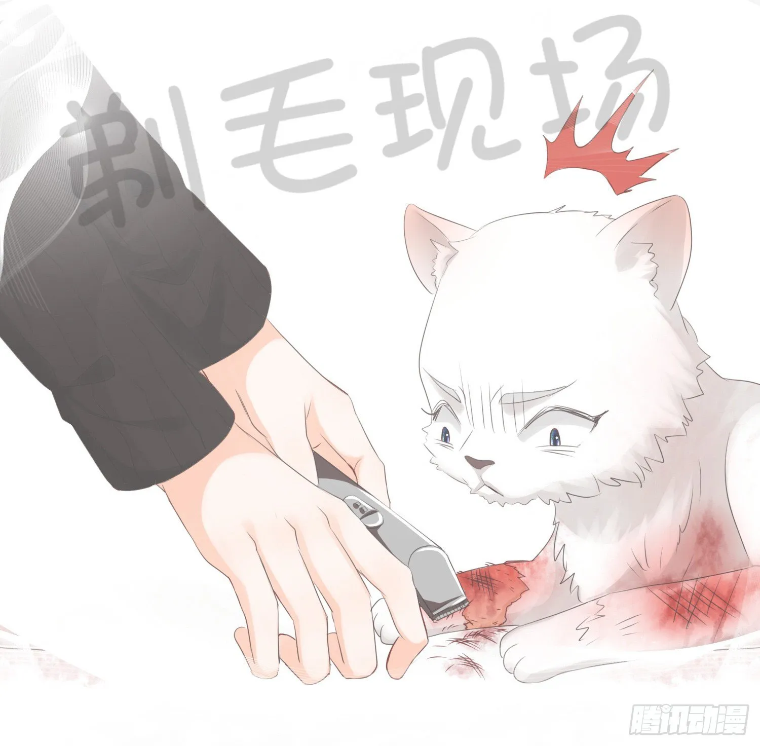 第拾壹话 灵猫的诉求（六） 第5页